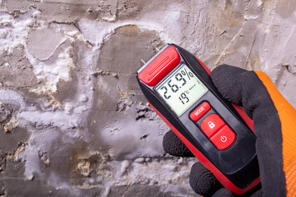 Best Mold Testing  in Henrietta, TX
