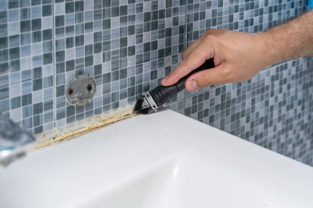 Best Commercial Mold Removal  in Henrietta, TX