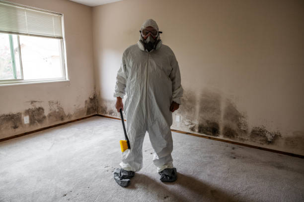 Best Emergency Mold Removal  in Henrietta, TX